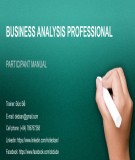 Business Analysis professional